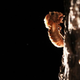 A cicada begins to molt